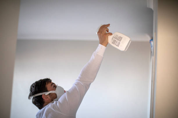 Best Black Mold Remediation in Red Bud, IL