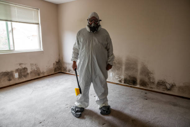 Best Industrial Mold Remediation in Red Bud, IL